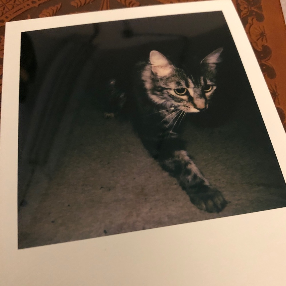 Meet your Posher, Len